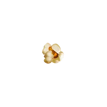Pirots 2 popcorn symbol